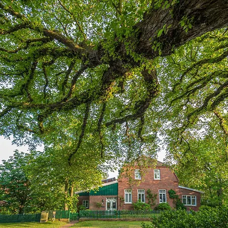 Berghuus Tuerns * Spiekeroog